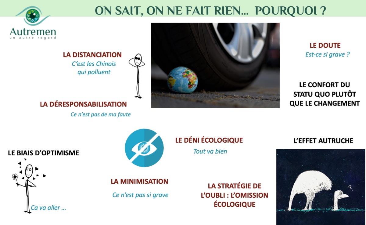 C-ECOLOGIE14