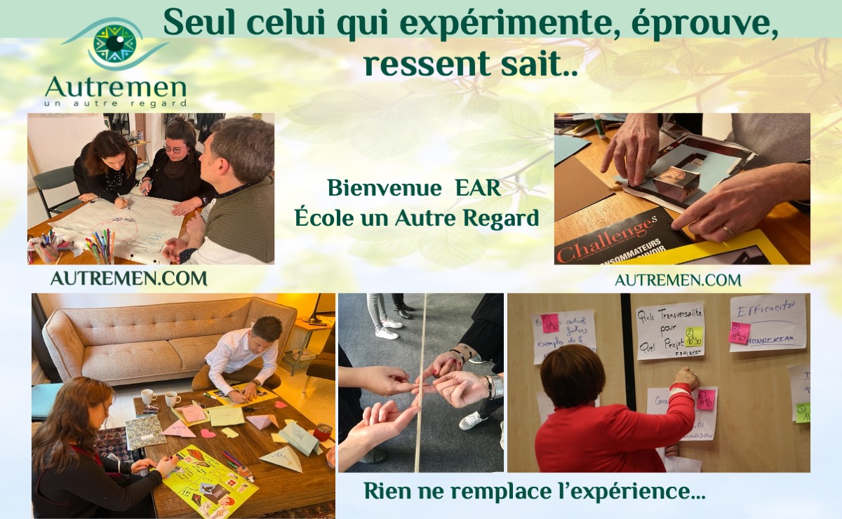 C-EAR-formation-expérience pédagogie d'excellence EAR