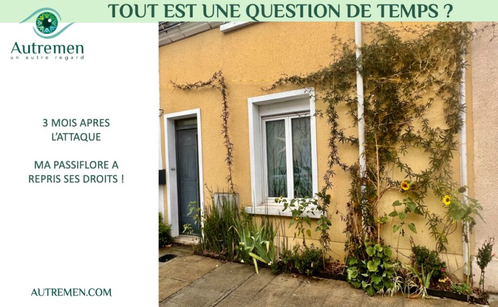 prendre son temps