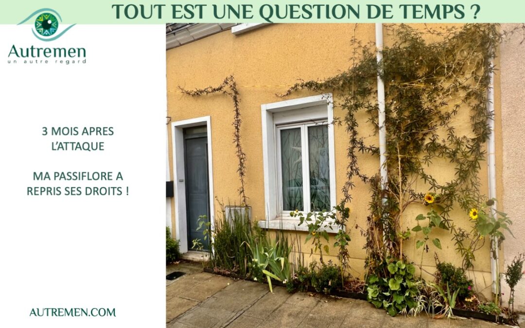 Est-ce que tout est une question de temps ?
