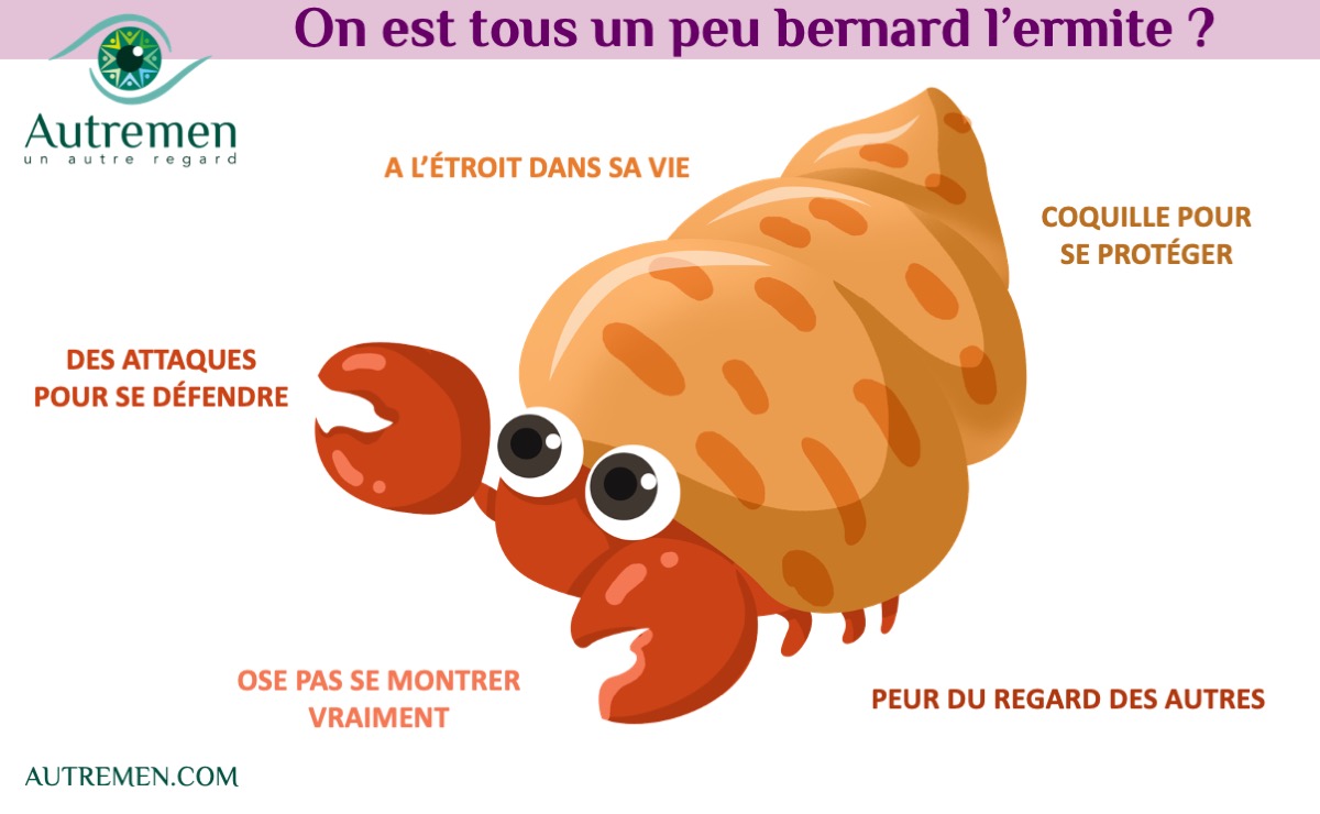 oser sortir de sa coquille par le coaching intégratif