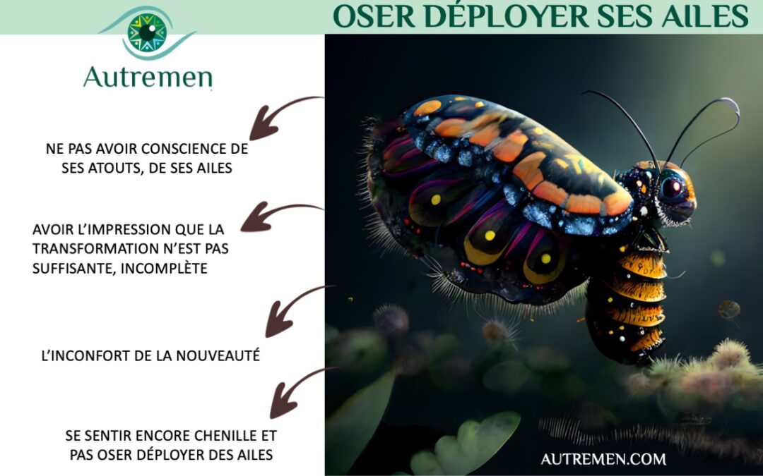 Le métier de  coach : Accompagner les transformations