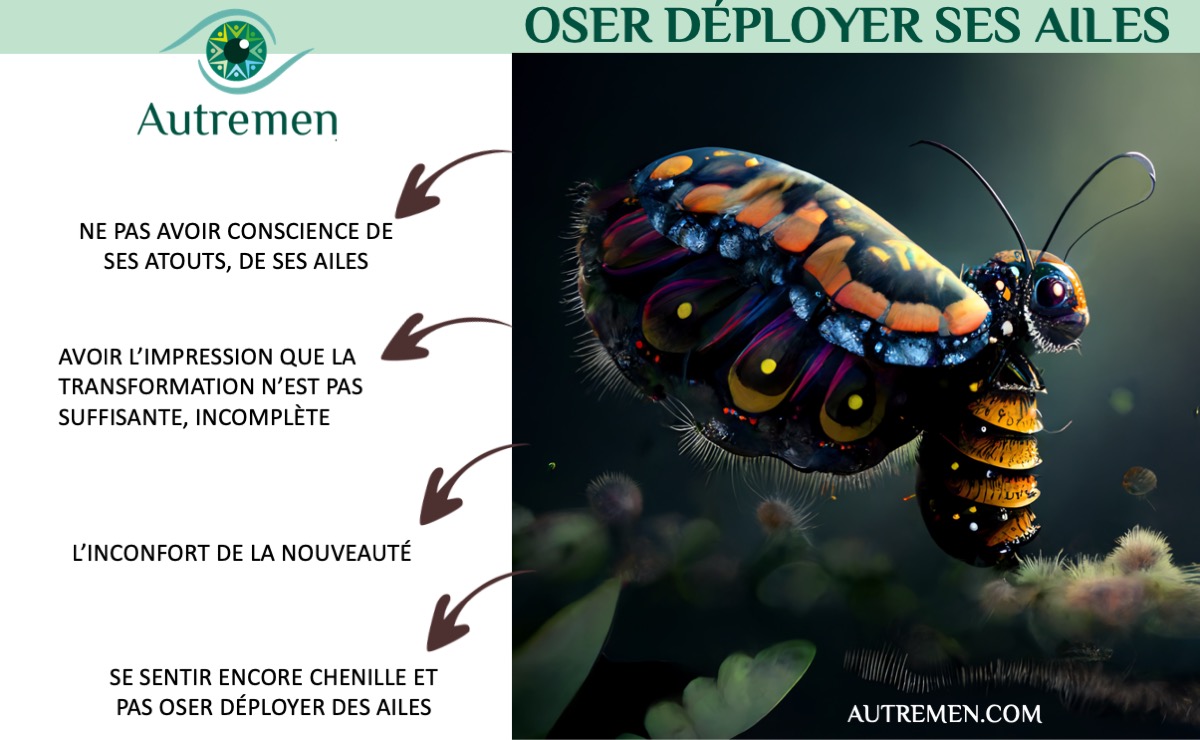 EAR-COACHING-chenillon coaching de transformation professionnel