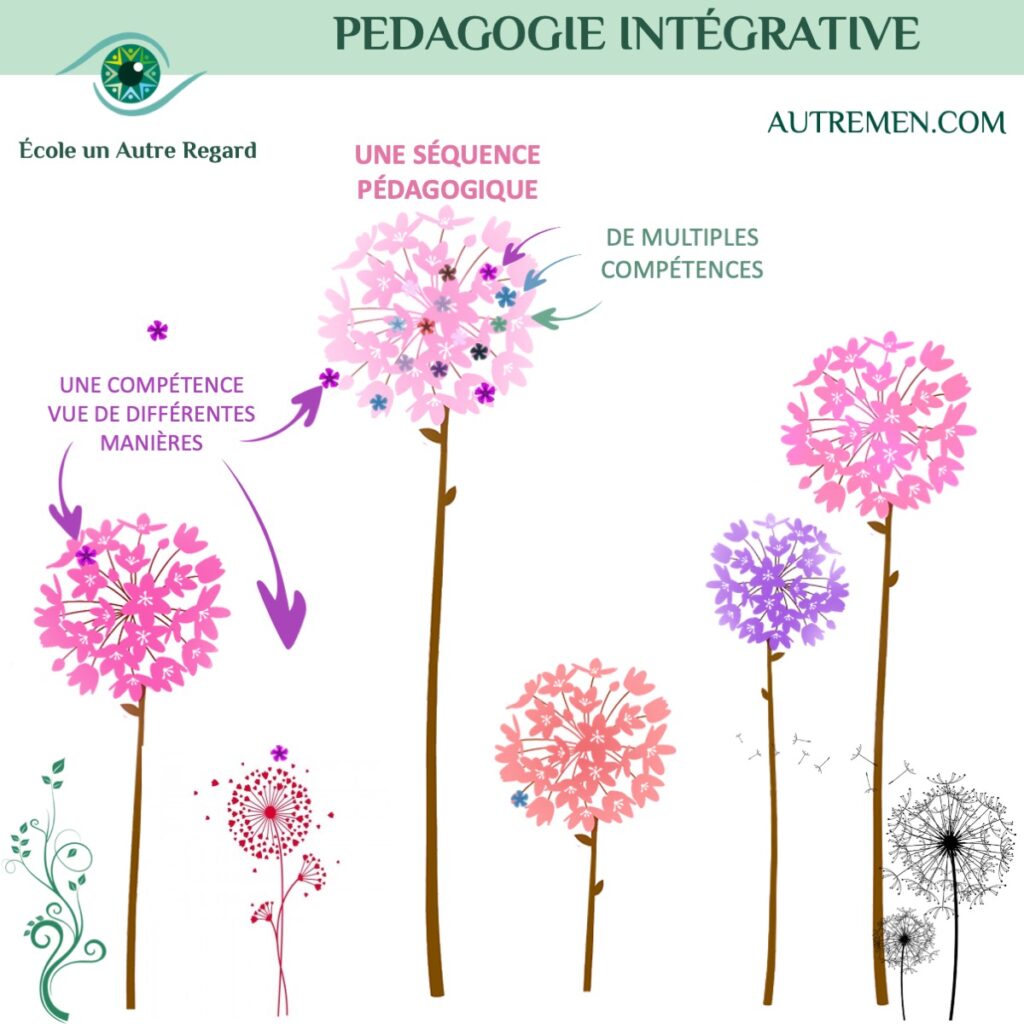 la pédagogie intégrative pour devenir coach professionnel performant
