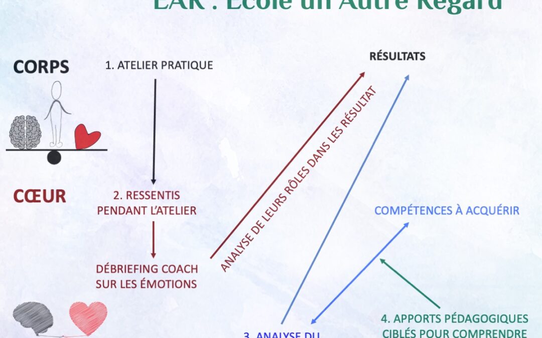 Pedagogie Corps Coeur Cerveau