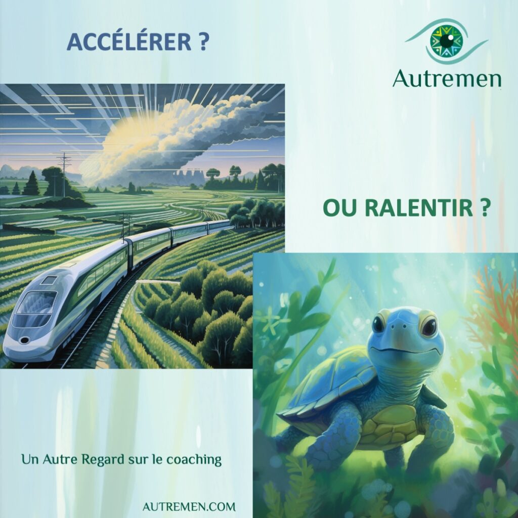 le coaching pour prendre du recul sur votre vie professionnelle, le temps de ralentir ? ou d'accélérer ? comment etre accompagné par un coach pour ajuster ?