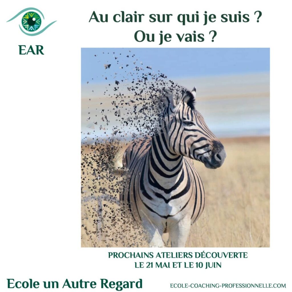 Au clair avec moi meme ? avec mon HP ? ma sensibilité ? mon parcours professionnel ?