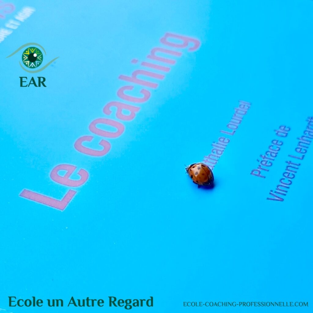 Une coccinelle sur mon livre le COACHING