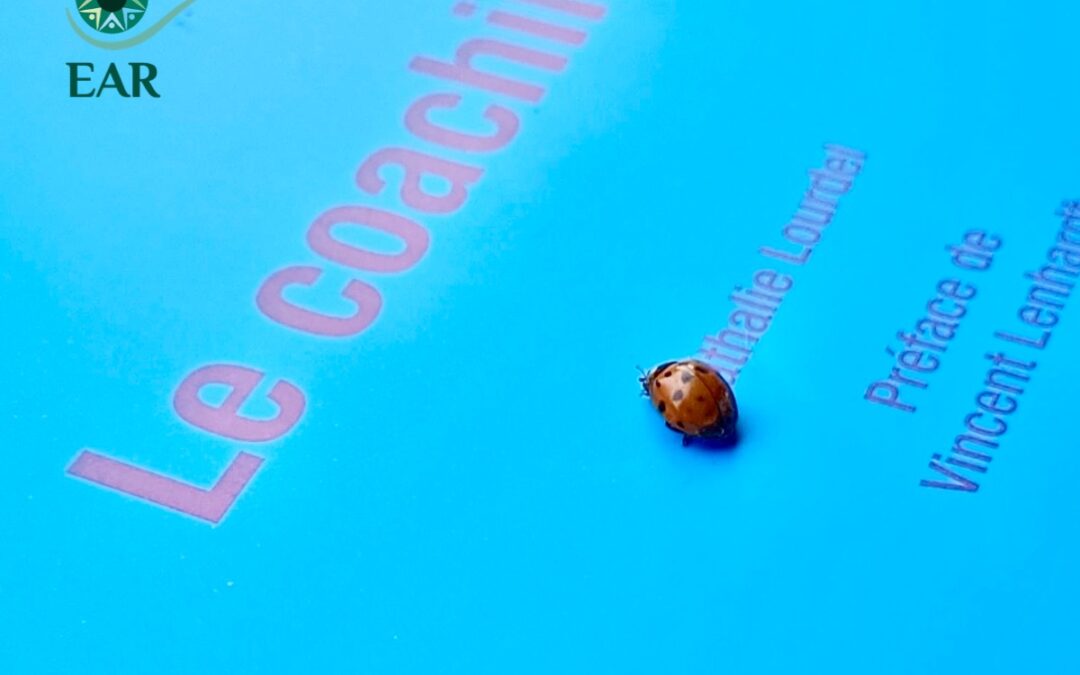 Une coccinelle tout un symbole !