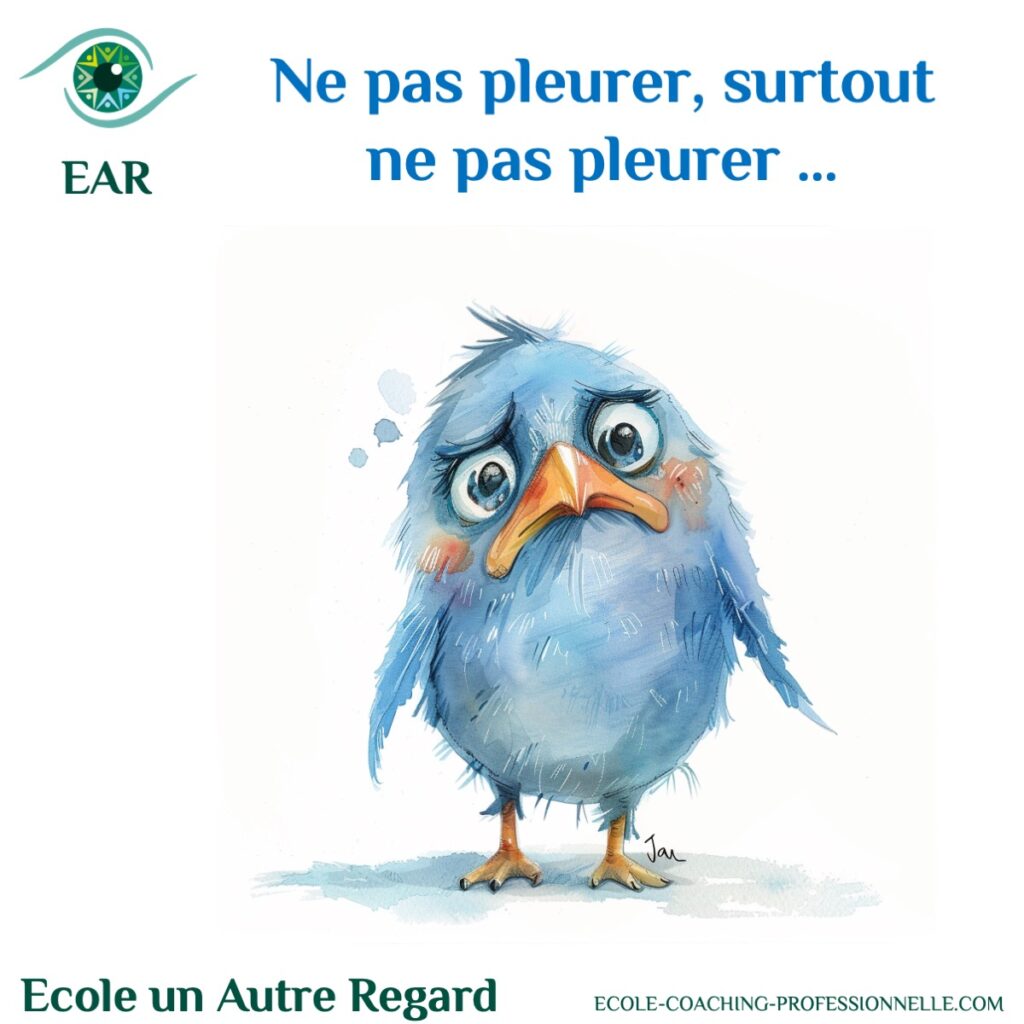 Ne pas pleurer, c'est idiot