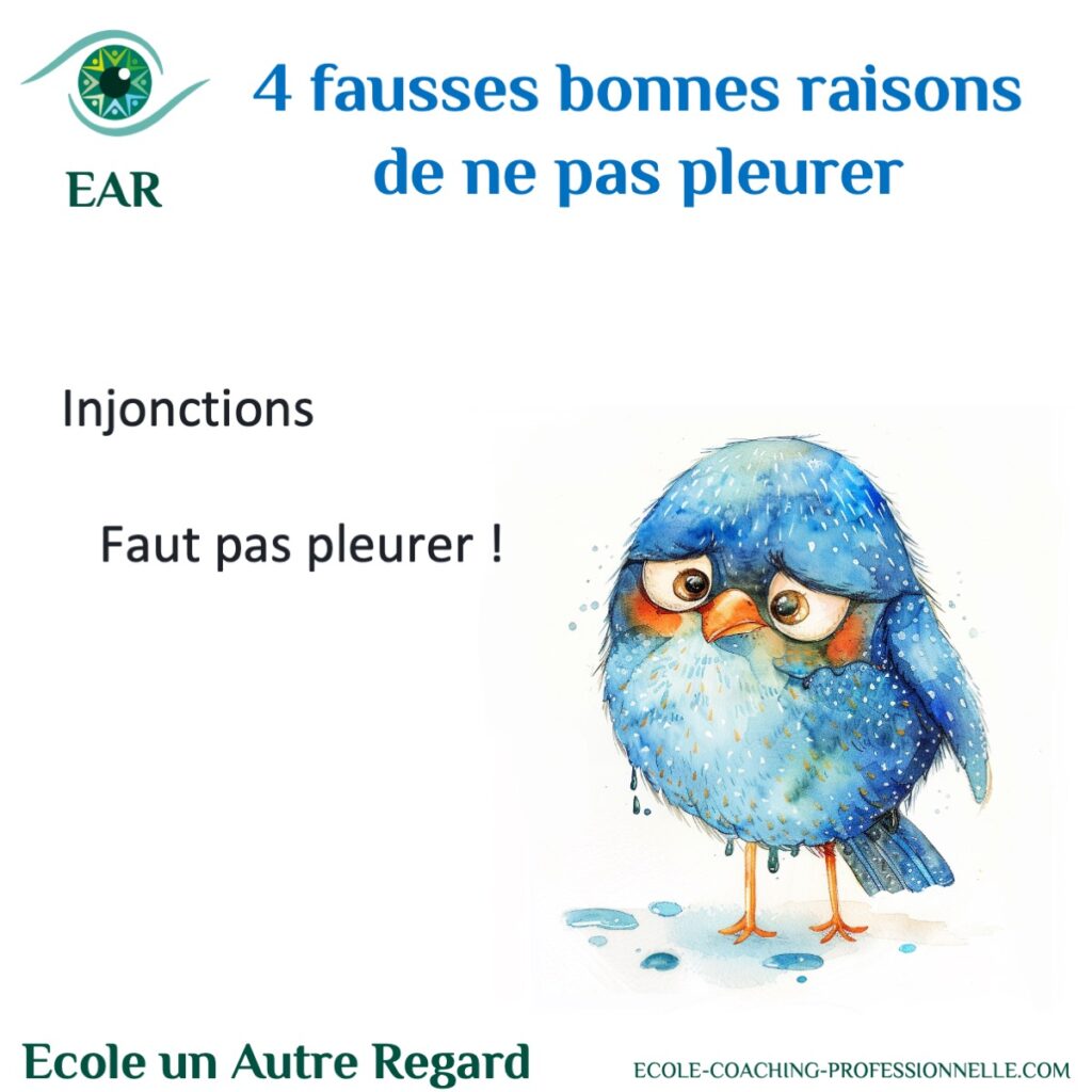 Fausses bonnes raisons de ne pas pleurer