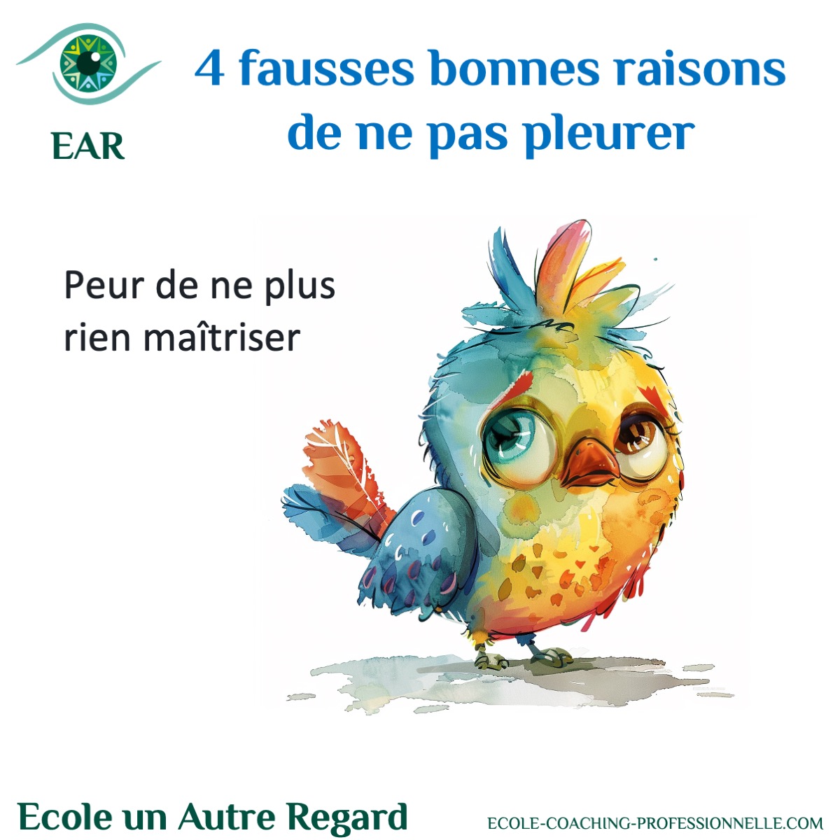 Fausses bonnes raisons de ne pas pleurer