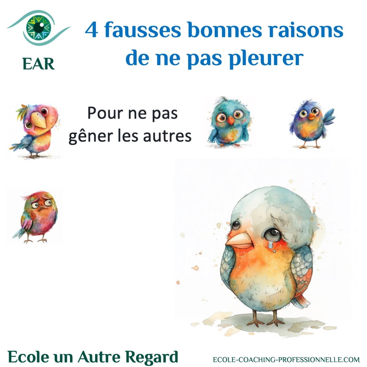 Fausses bonnes raisons de ne pas pleurer