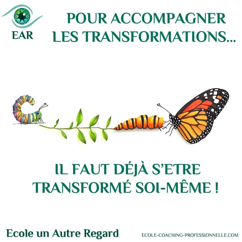Le coaching c’est l’art de favoriser les transformations
