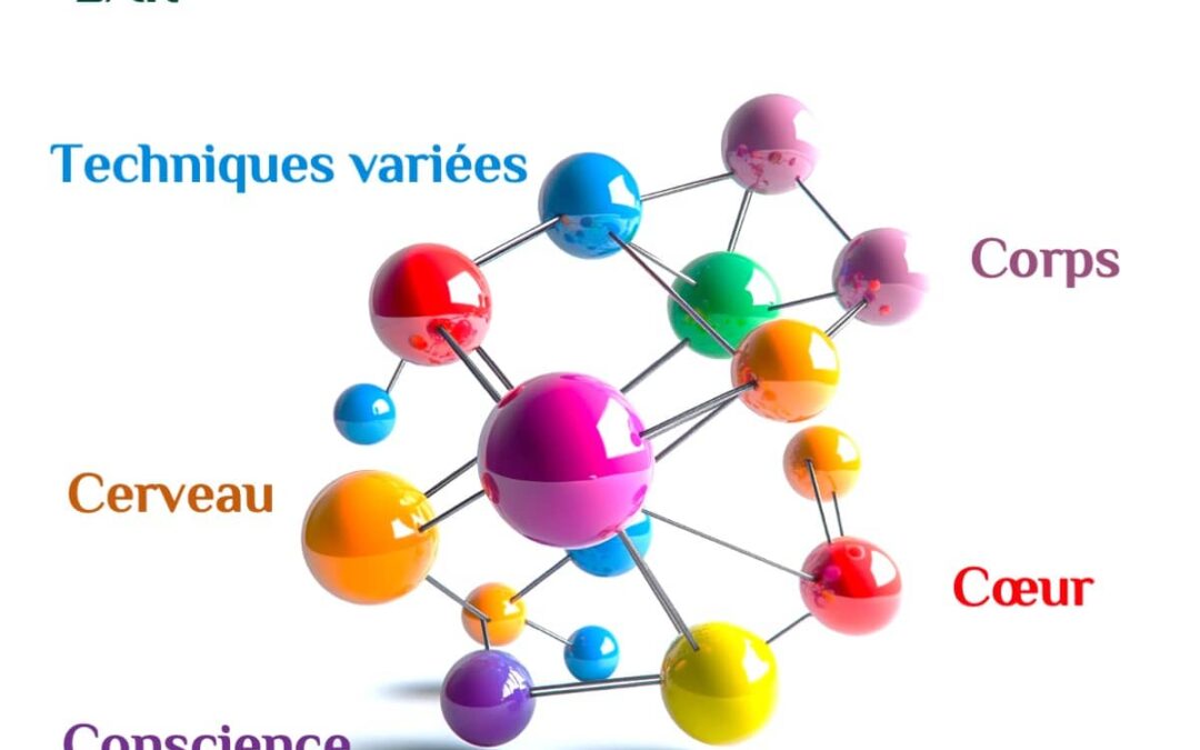 Le coaching intégratif C5