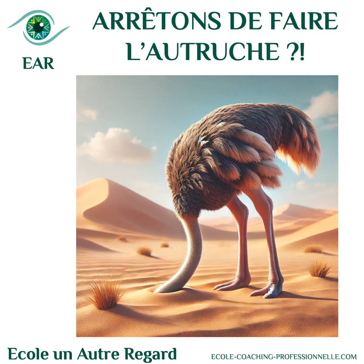 Arrêtons de faire l’autruche