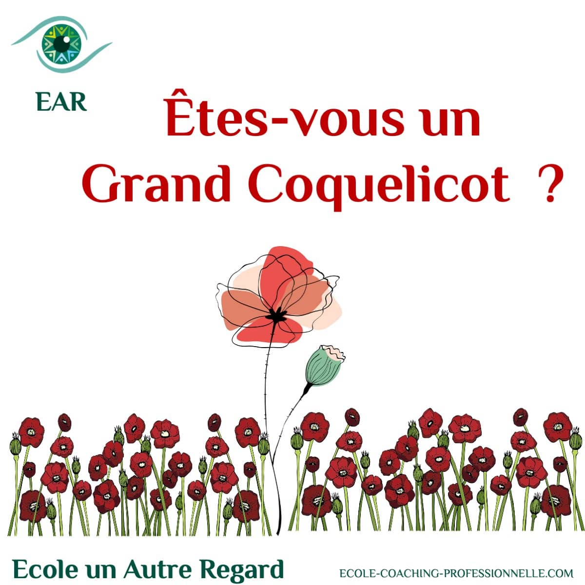 grand-coqulicot-EAR-56 Le Syndrome du grand coquelicot : les HPI particulièrement concerné