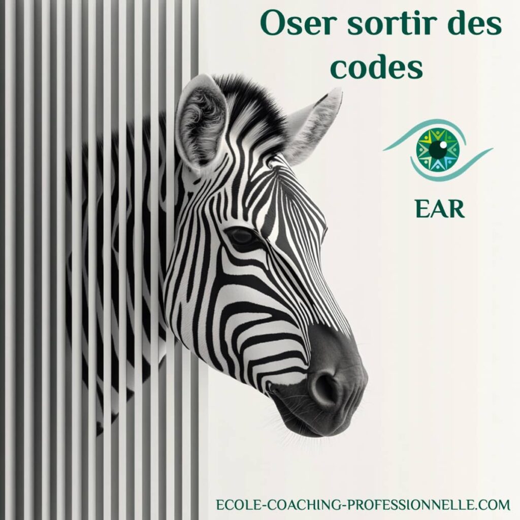 HPI Oser sortir des codes