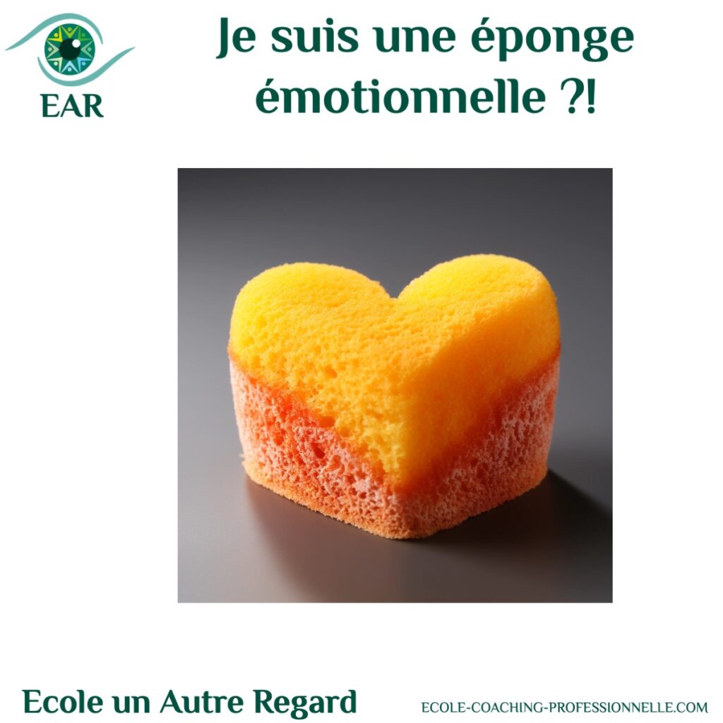 éponge émotionnelle tsunami émotionnel