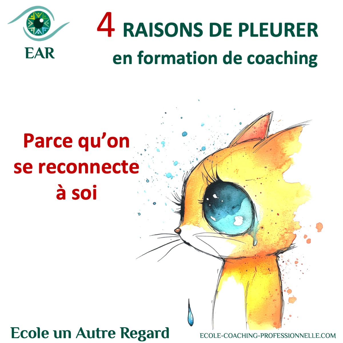 ???? 4 raisons pour lesquelles on pleure en formation de coaching Et pourquoi c’est une très bonne nouvelle !