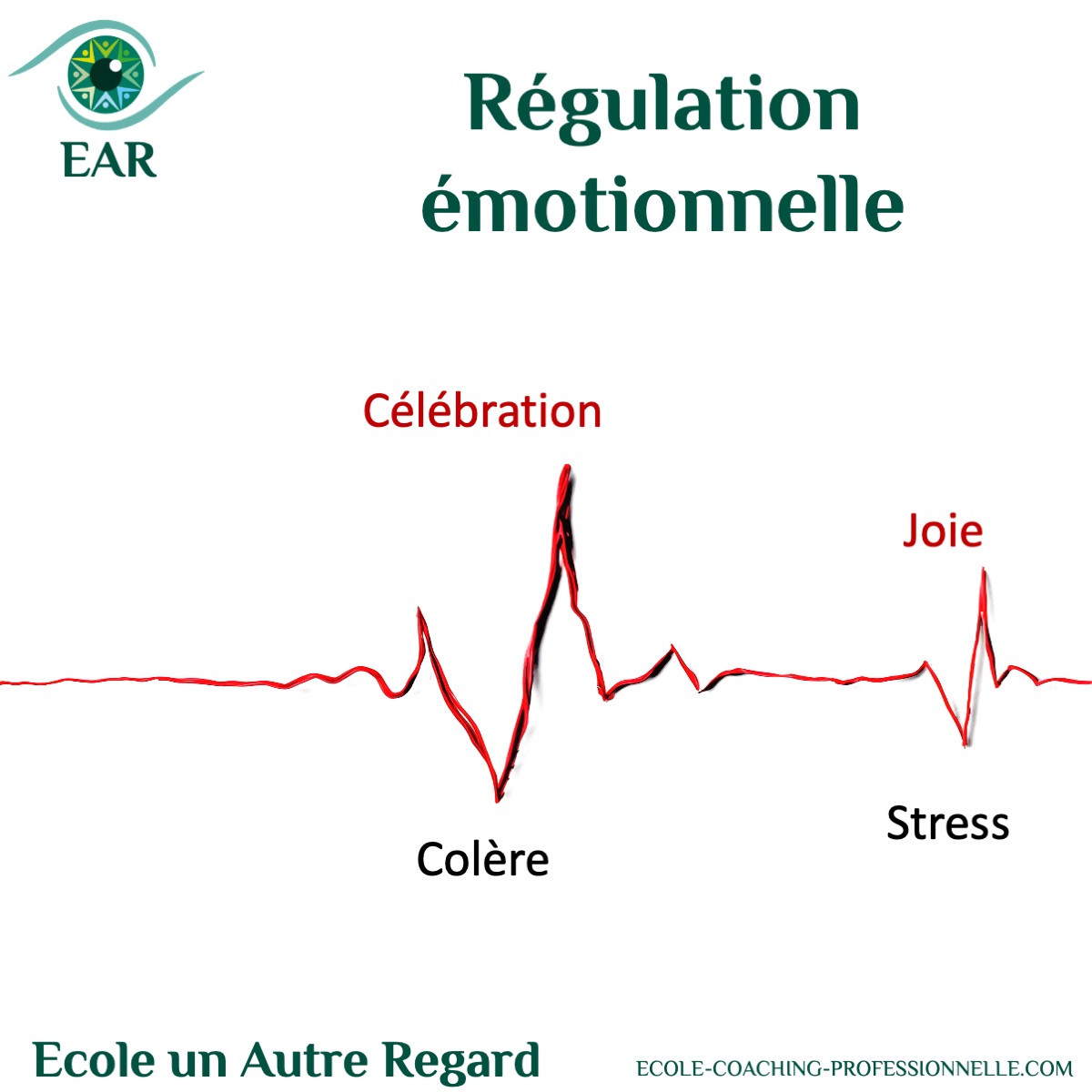 L’auto-régulation émotionnelle c’est possible ? EAR ecole de coaching intégratif C5 Paris