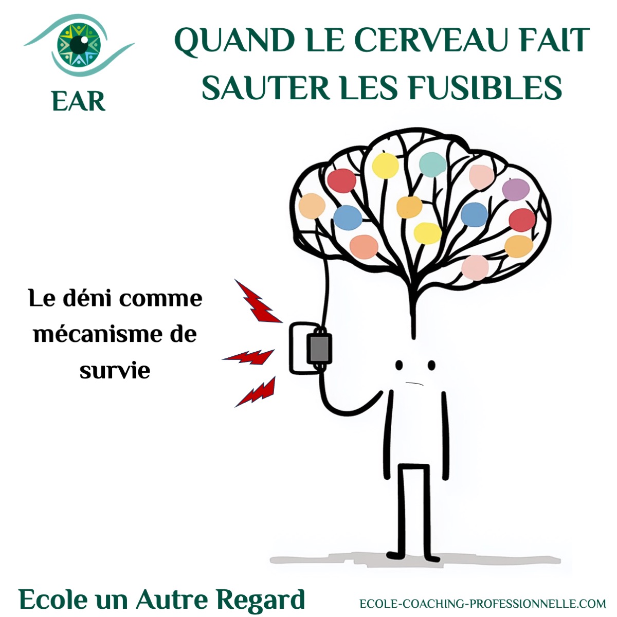 le cerveau a des fusibles Quand le cerveau fait sauter les fusibles : le déni comme mécanisme de survie le coaching intégratif pour reconnecter corps coeur cerveau