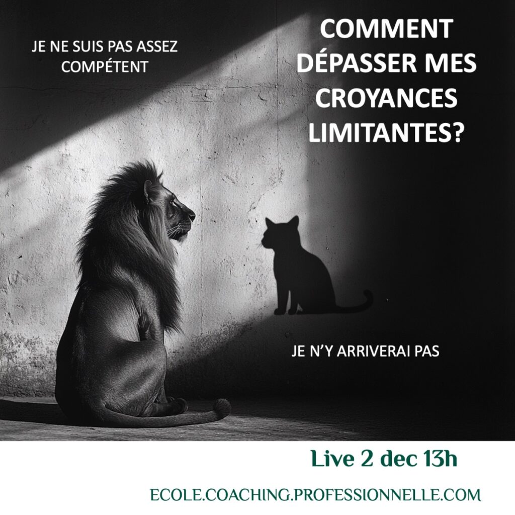 C'est quoi une croyance limitante ? C'est une vérité que tu as décidée sur toi-même qui n'existe que dans ta tête.