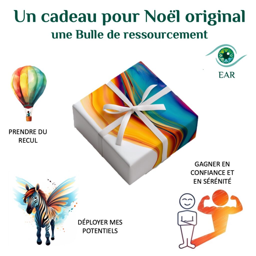 un cadeau de Noel différent