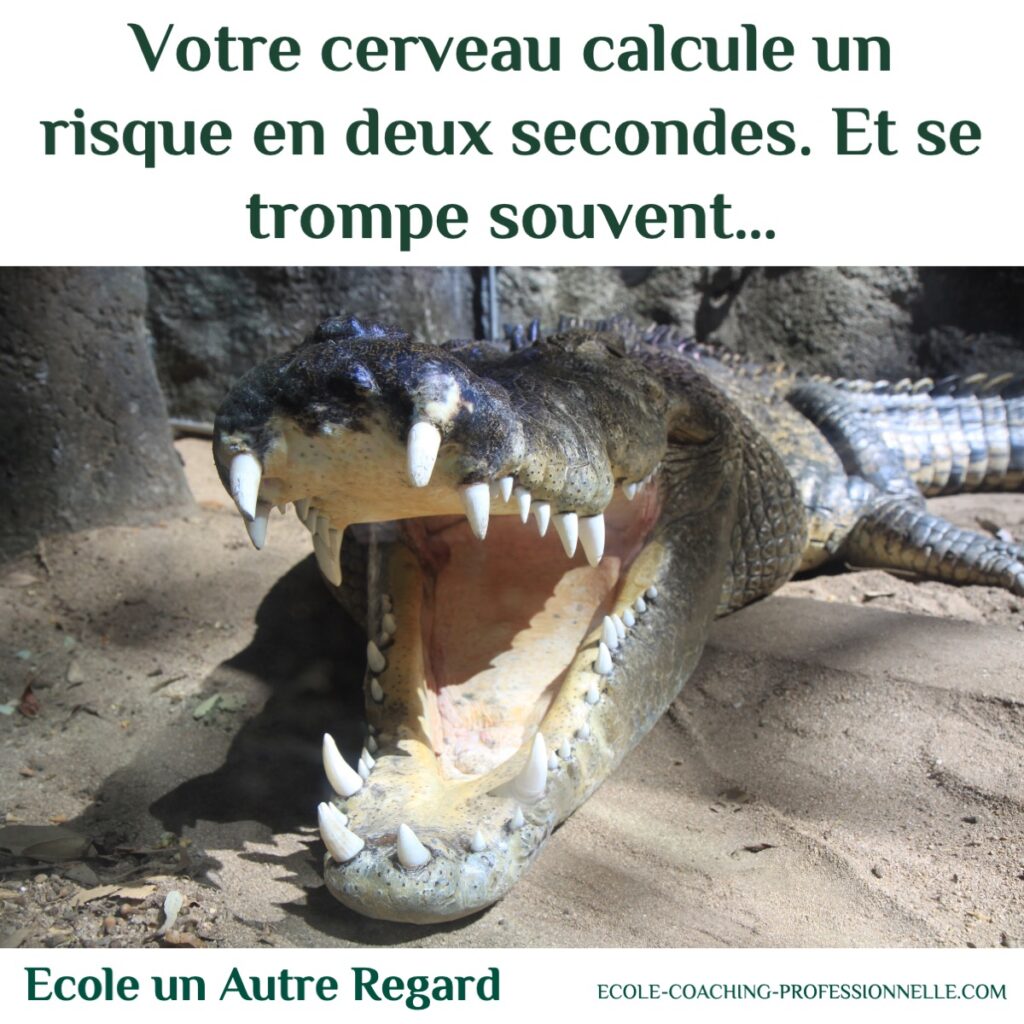 Votre cerveau calcule un risque en deux secondes. Et se trompe souvent… Évaluer un risque commence par poser les bonnes questions.