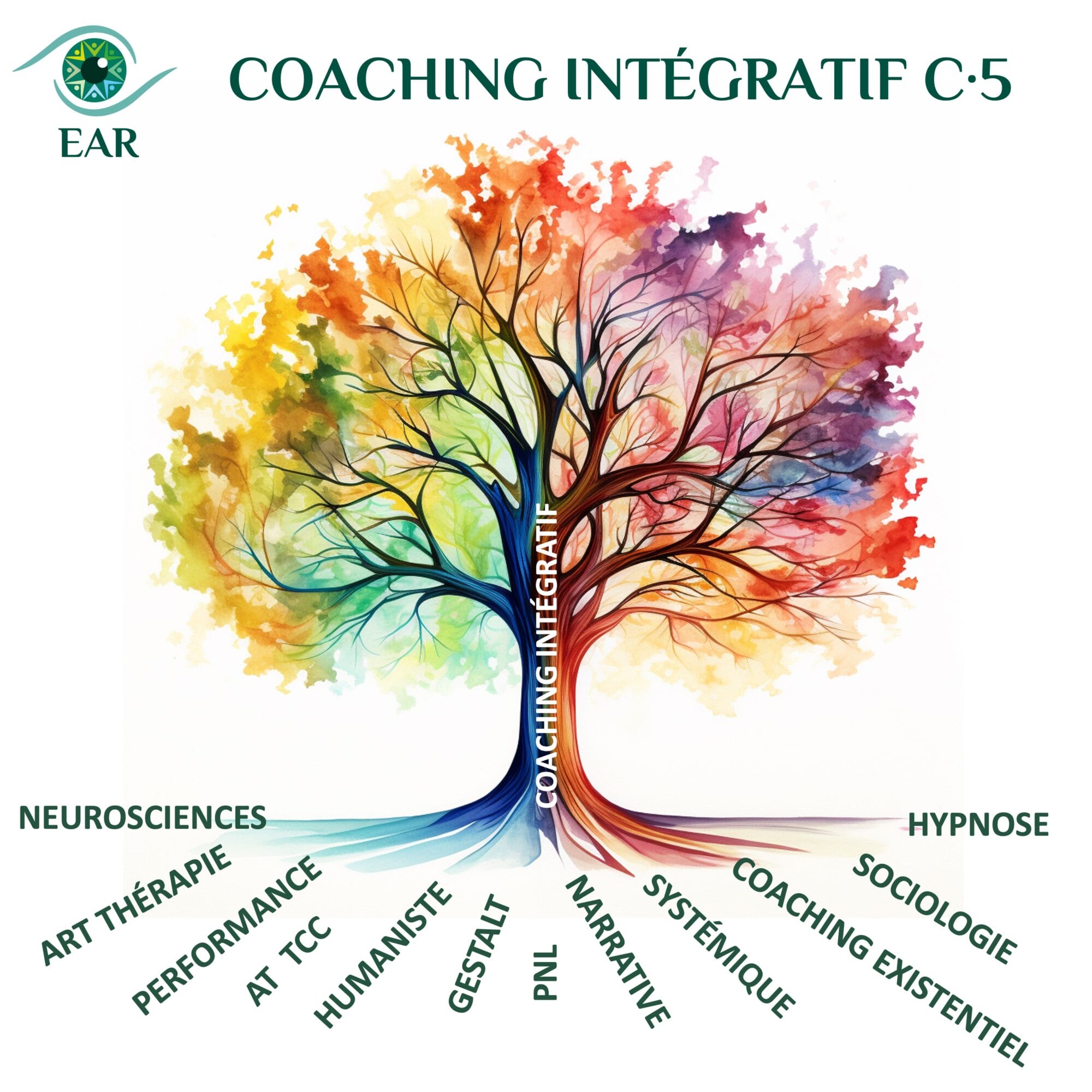 hpi_haut_potentiel-ear-coaching-approche_c5_ajustee_hpi